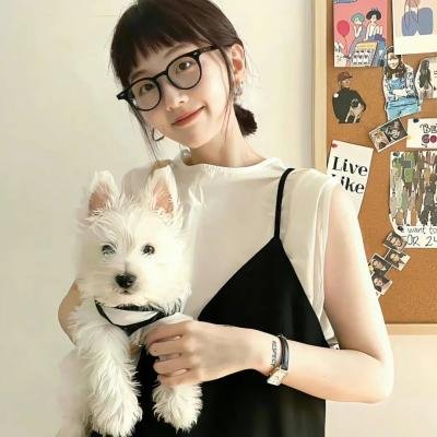 飞行堡垒